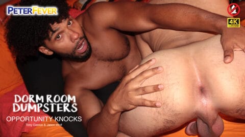 Interracial ass play