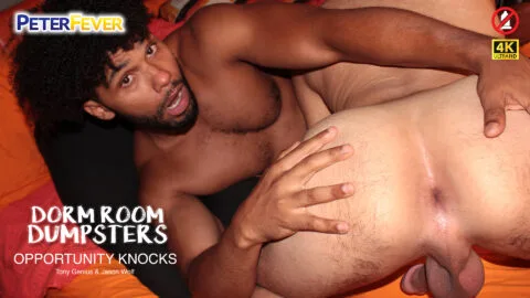 Interracial ass play